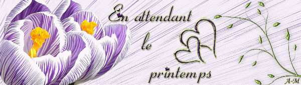 Menu sp&eacute;cial St Valentin