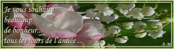Vers le menu des cartes