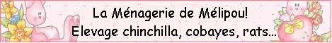 Joli site avec de jolies petites b&ecirc;tes !!!