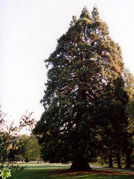 Parc de Noisiel (77) France